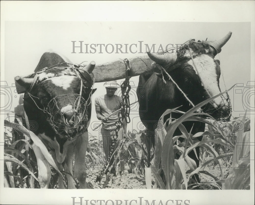 1970 Press Photo Peruvian farmer takes part in Agrarian Reform Program - Historic Images