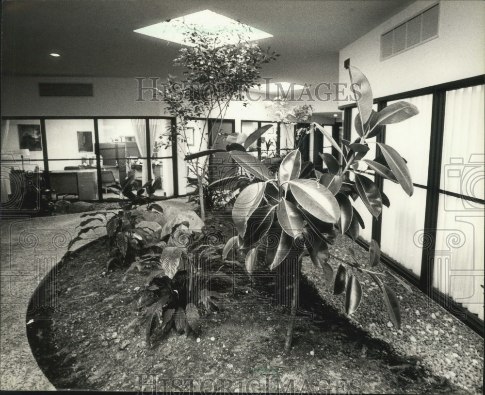 1981 Press Photo Garden and pebbled walkway lead to Senator Kasten&#39;s office - Historic Images