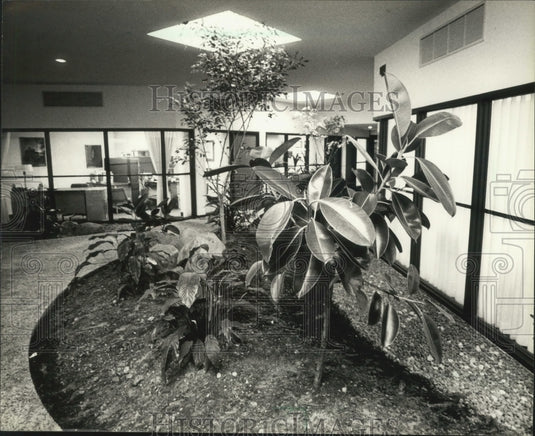 1981 Press Photo Garden and pebbled walkway lead to Senator Kasten's office - Historic Images