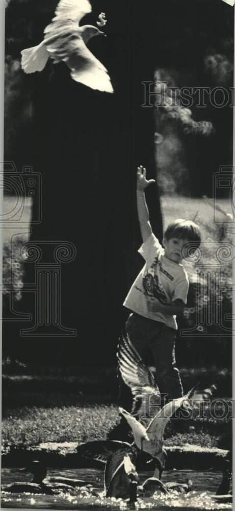 1987 Ryan Hazelwood at Humboldt Park toss bread into air for gulls-Historic Images