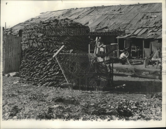 1962 Press Photo Stacks Of Cow Dung Cakes Outside Home In Bombay - mjb78604 - Historic Images