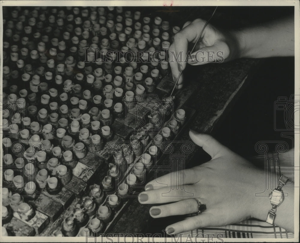 1954 Press Photo Artificial starter cells used for the queen bees - mjb78723 - Historic Images