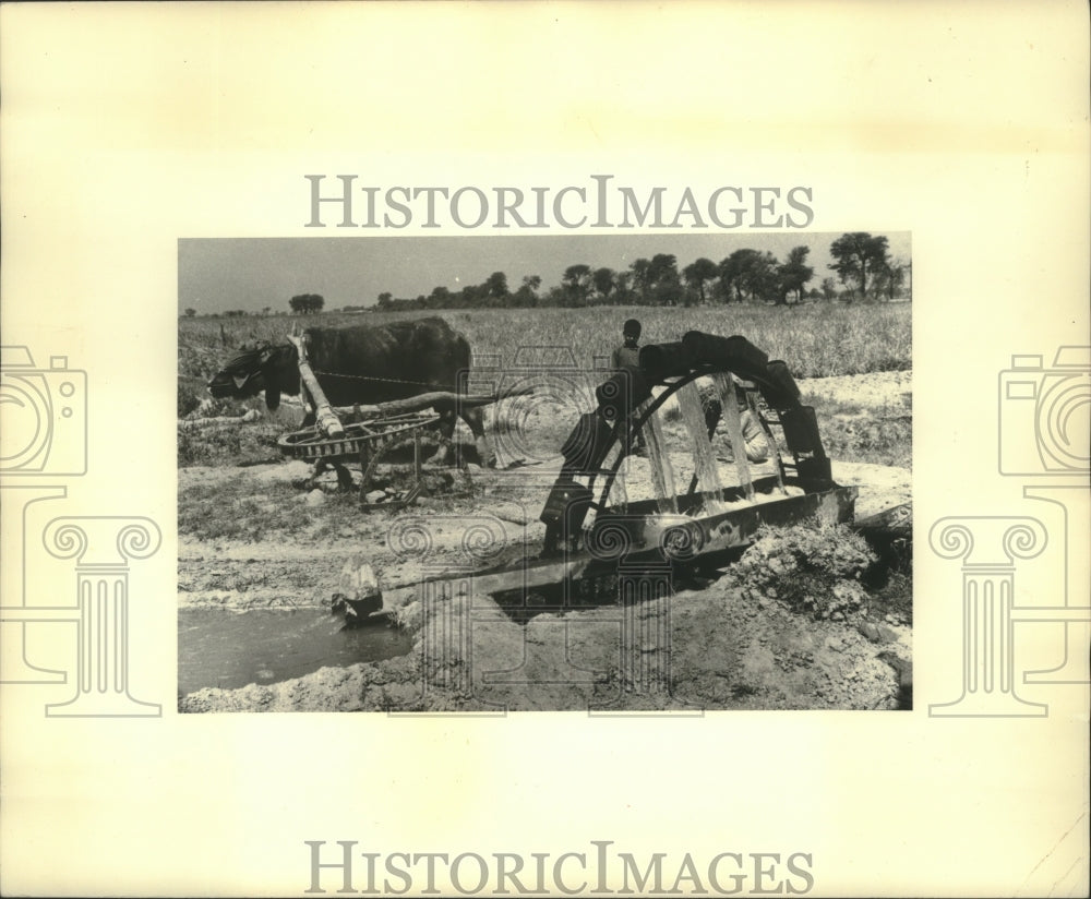 1973 Press Photo Modern Mechanized Farming Methods like this have reduced labor - Historic Images