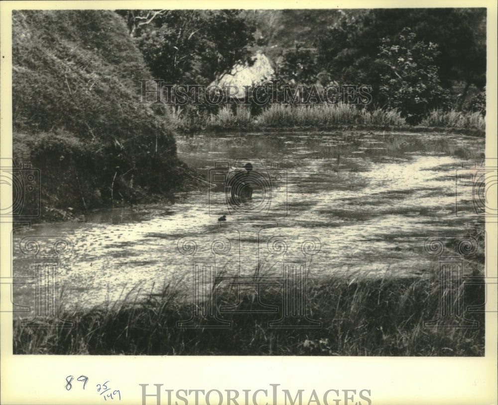 1979 Press Photo Worker weeding rice terrace, clean before planting, Philippines - Historic Images