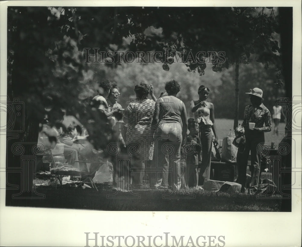 1977 Picnics at a park in Milwaukee - Historic Images