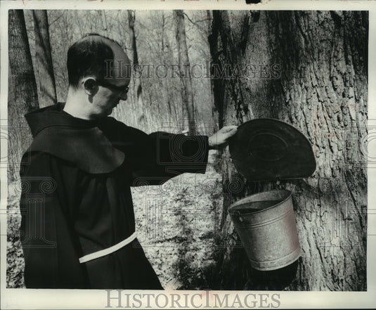 1966 Father Melvin Wersbicke inspects sap bucket in Oconto county-Historic Images