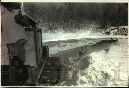 1994 Captured deer released at South Eden Preserve near Fond du Lac - Historic Images