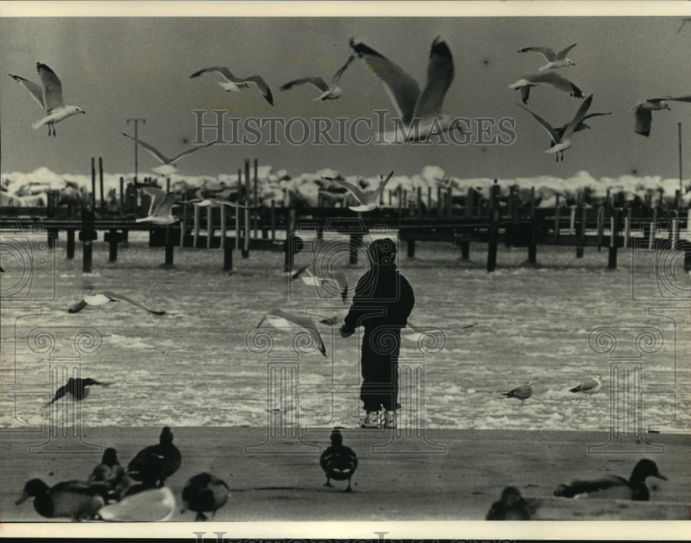 1992 Press Photo Young boy watches birds at South Shore Park harbor, Milwaukee - Historic Images