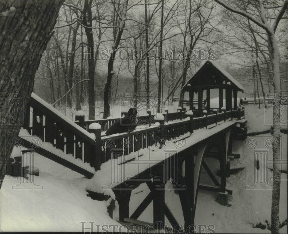 1994 Press Photo One of seven bridges in Grant Park, South Milwaukee - mjb82253 - Historic Images