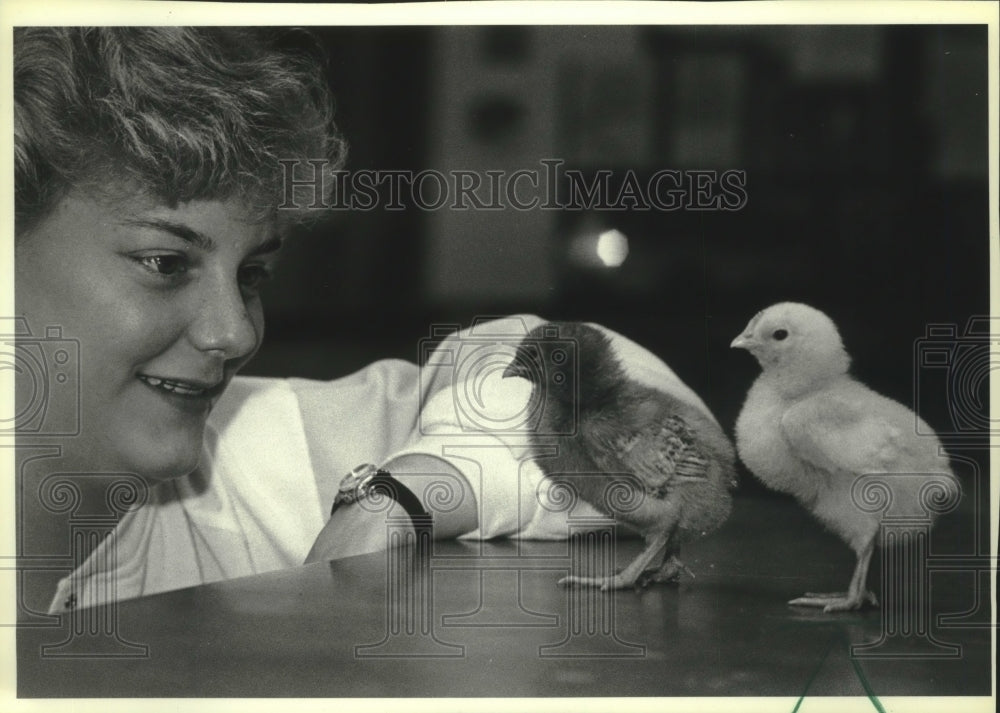 1988 Press Photo Beth Damitz raised baby chicks at South Milwaukee High School - Historic Images