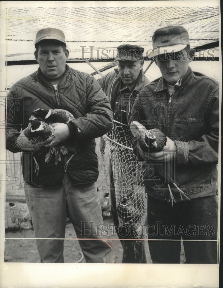 1964 Hunters of the Clark County Conservation hold pheasants-Historic Images