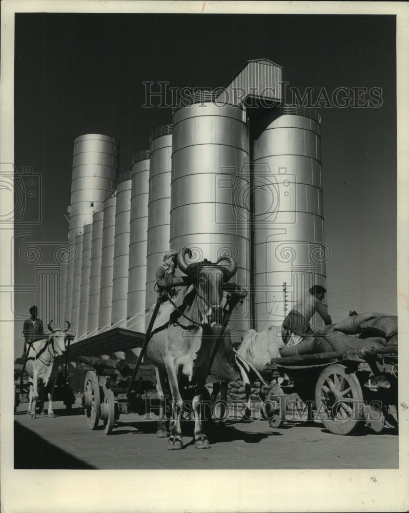 1963 Modern grain storage, silos in New Delhi, India-Historic Images
