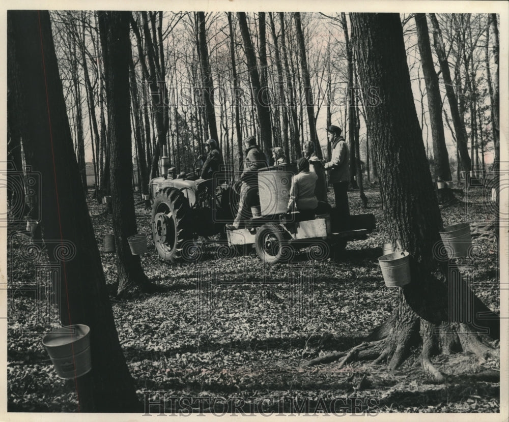 1954 Press Photo Members of outdoor group rode on Sap collection trailer- Historic Images