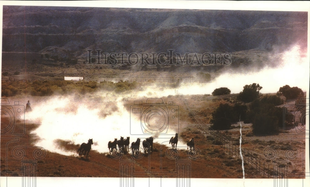 1993 Wrangler herds released wild horses, Wyoming-Montana border - Historic Images