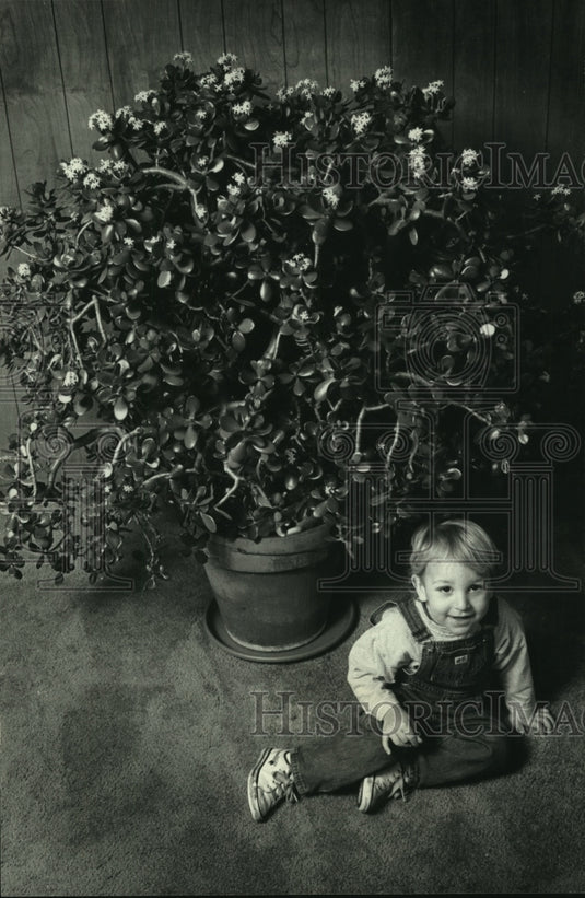 1992 A blossoming Jade plant and John Pandi's son Ryan. - Historic Images