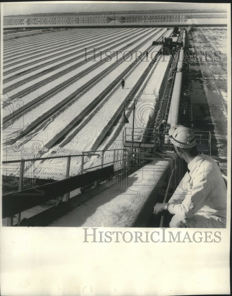 1962 In Dry Creek, Australia dried sea salt forms crystallized beds - Historic Images