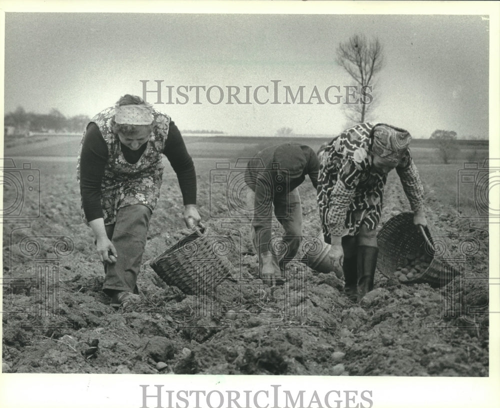 1982 Two women plant potatoes on small family farm, Krakow, Poland-Historic Images