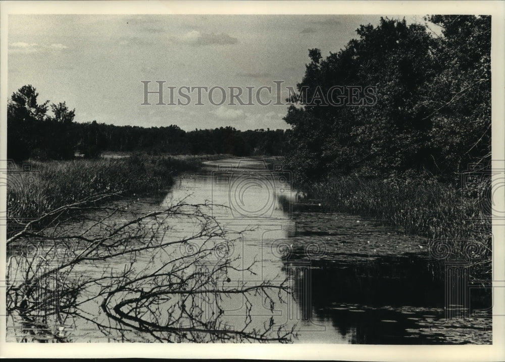 1991 Press Photo Old drainage ditch now waters animals at Sandhill Wildlife Area - Historic Images