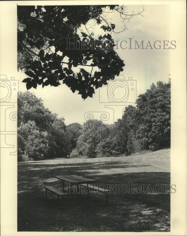 1985 Press Photo A view of Guenther&#39;s Pond in Port Washington, Wisconsin - Historic Images