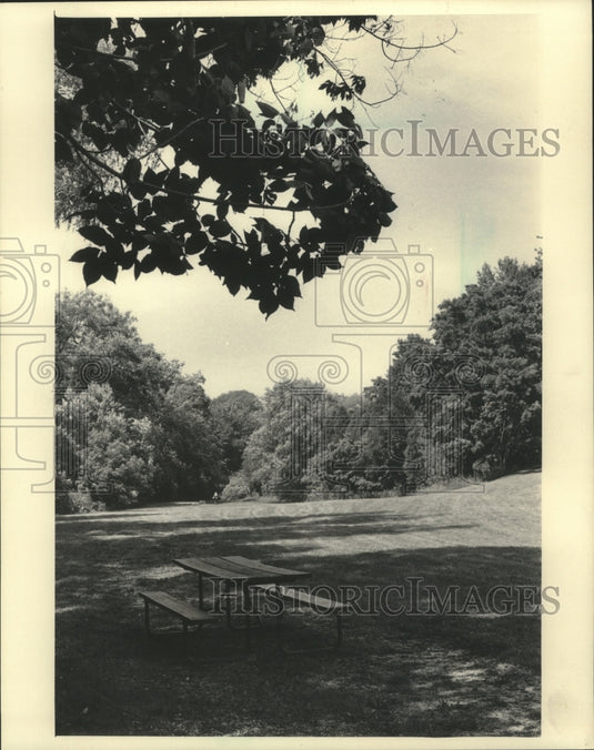 1985 Press Photo A view of Guenther's Pond in Port Washington, Wisconsin - Historic Images