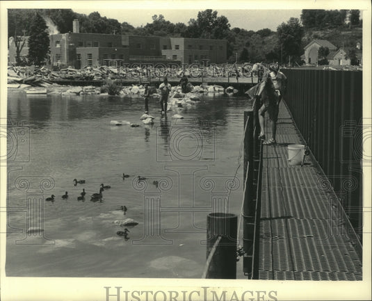1985 Press Photo Ducks and fisherman enjoy life at Port Washington harbor - Historic Images
