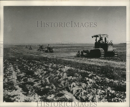 1952 Press Photo Israel started huge development project to plow 100,000 acres. - Historic Images