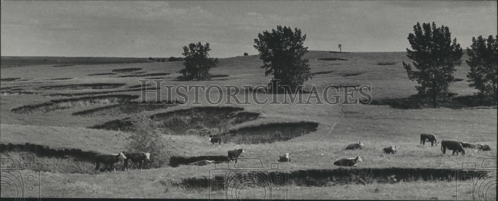 1976 Press Photo Rangeland near Bismarck, North Dakota are marked by old mines. - Historic Images