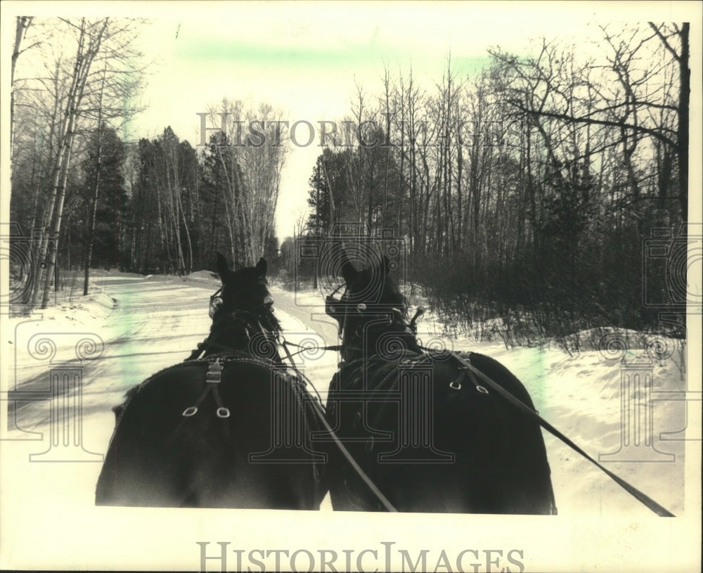 1987 Press Photo South end of two horses going north from Soder Farms, Wisconsin - Historic Images