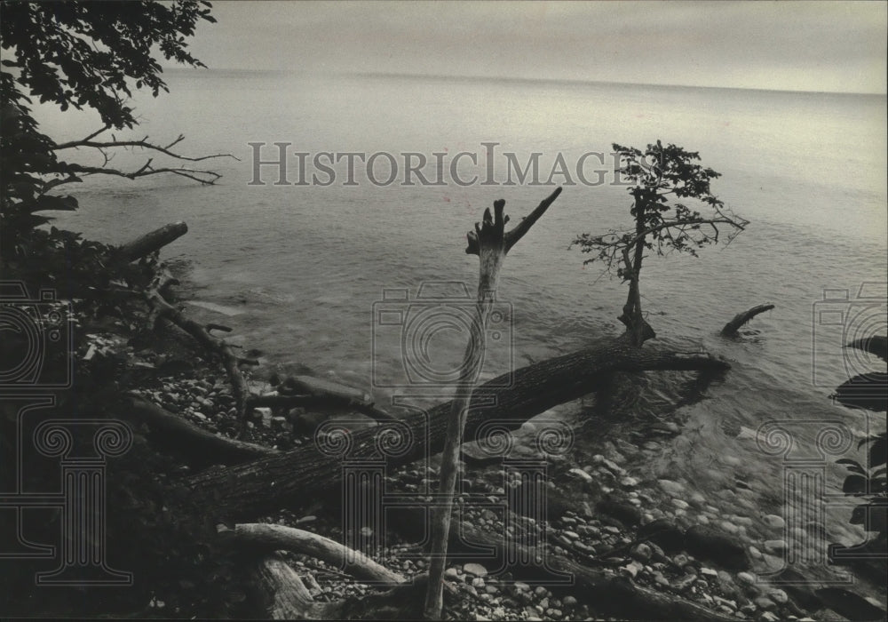 1979 Press Photo Waters from one edge of Wisconsin&#39;s Shorewood Nature Preserve - Historic Images