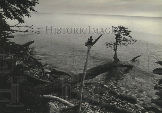 1979 Press Photo Waters from one edge of Wisconsin's Shorewood Nature Preserve - Historic Images