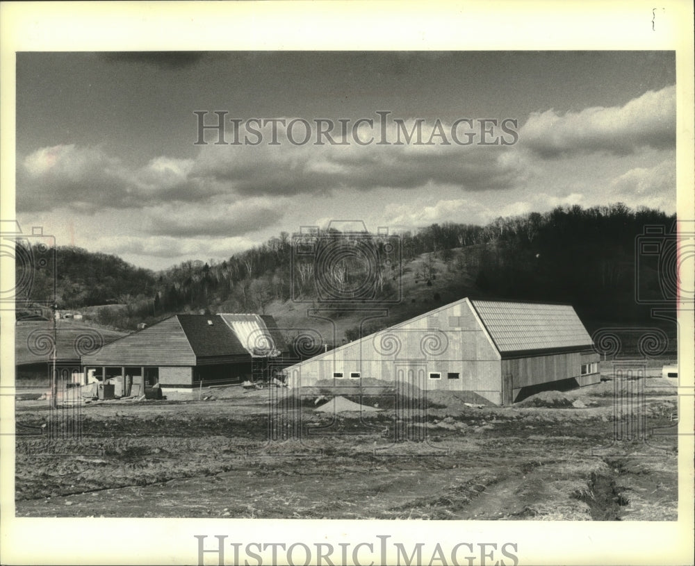 1980 Press Photo Peoples State Bank, and the IGA supermarket to use solar energy - Historic Images