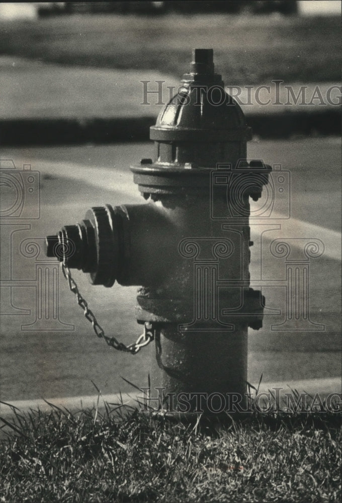 1989 Press Photo Shorewood has not performed regular flow tests on fire hydrants - Historic Images