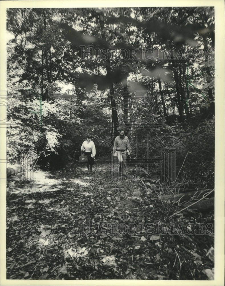 1981 Press Photo Shorewood Wisconsin walking path ravine down lakefront bluff - Historic Images