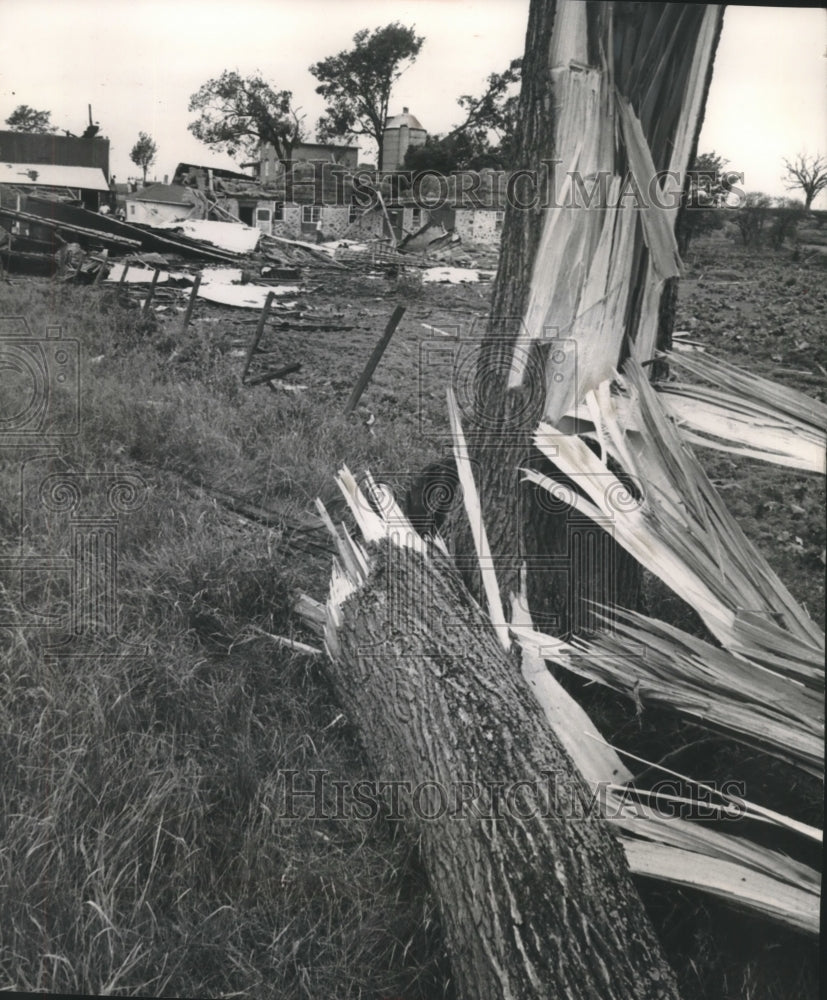 Press Photo Destroyed Barn and Tree After Windstorm on Farm in Hustisford - Historic Images