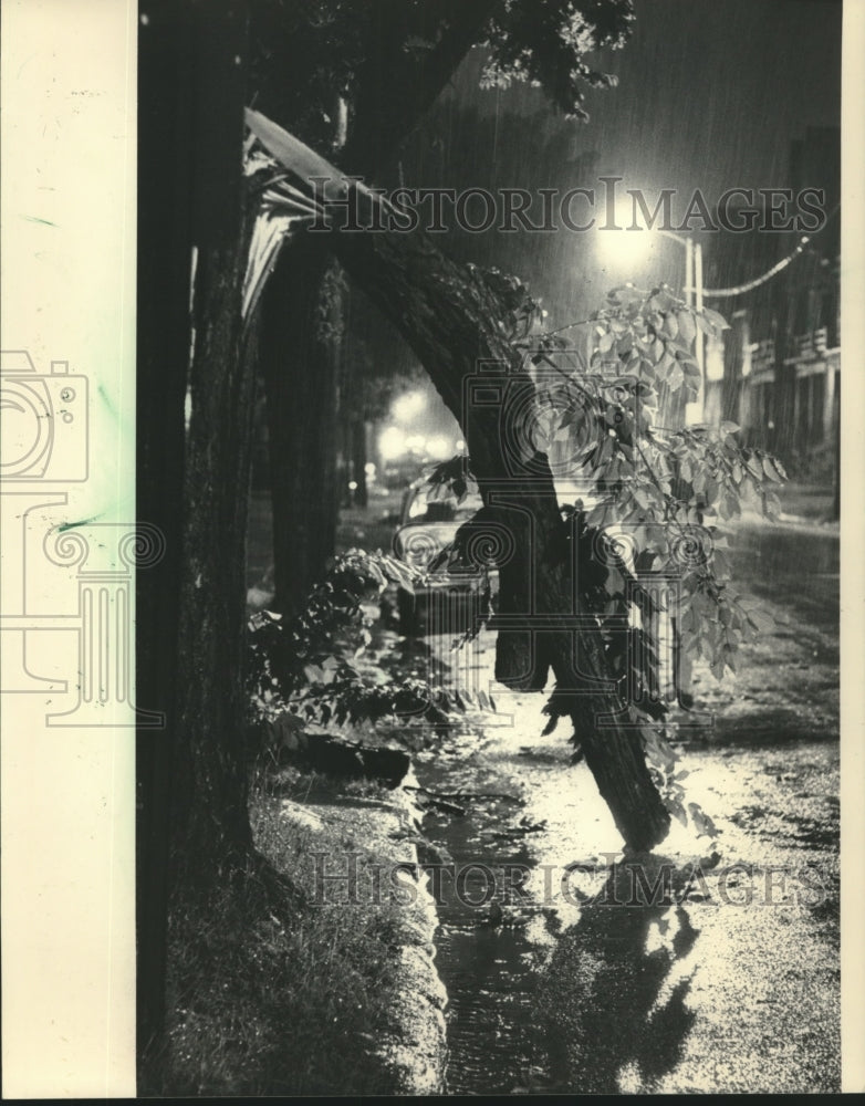 1983 Press Photo A storm downed a tree limb in the 2900 block of Milwaukee - Historic Images