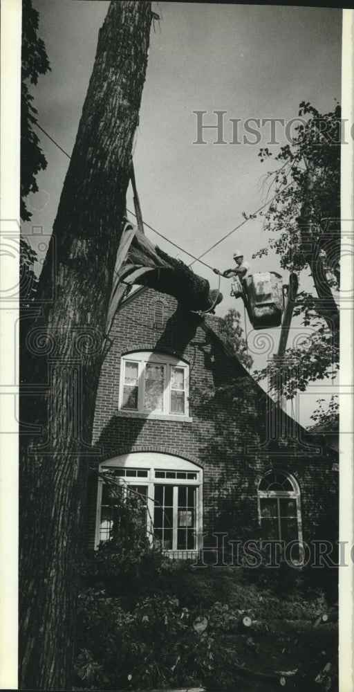 1989 Craig Terlau cut away part of fallen tree from home-Milwaukee - Historic Images