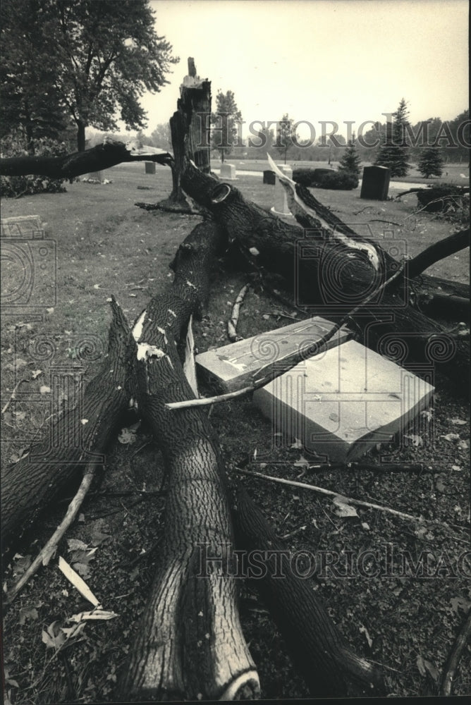 1987 Press Photo Falling trees toppled tombstones; Graceland Cemetery-Milwaukee - Historic Images