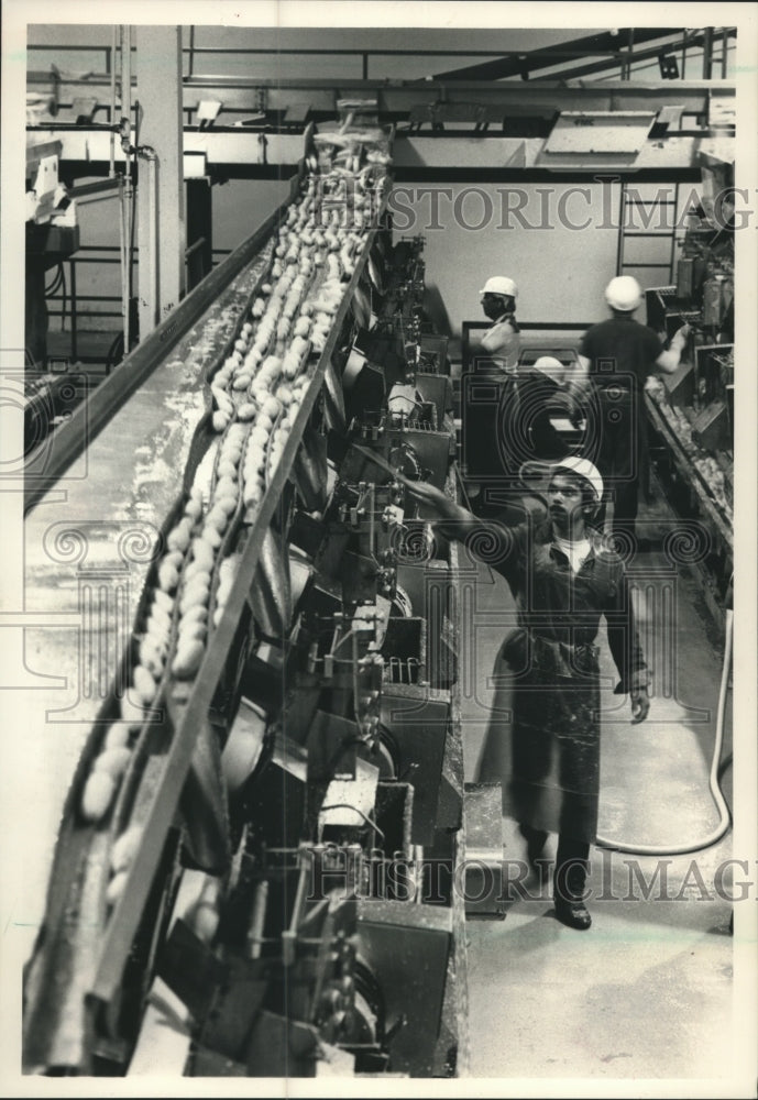 1988 Press Photo Workers processed corn at Stokely-USA in Sun Prairie - Historic Images