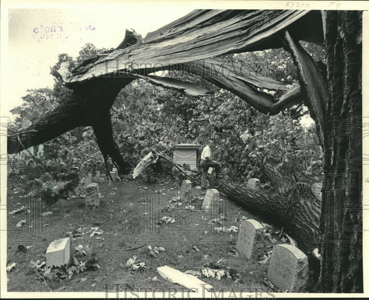 1984 Press Photo Charles Wheatly looking over cemetery after storm, Milwaukee. - Historic Images