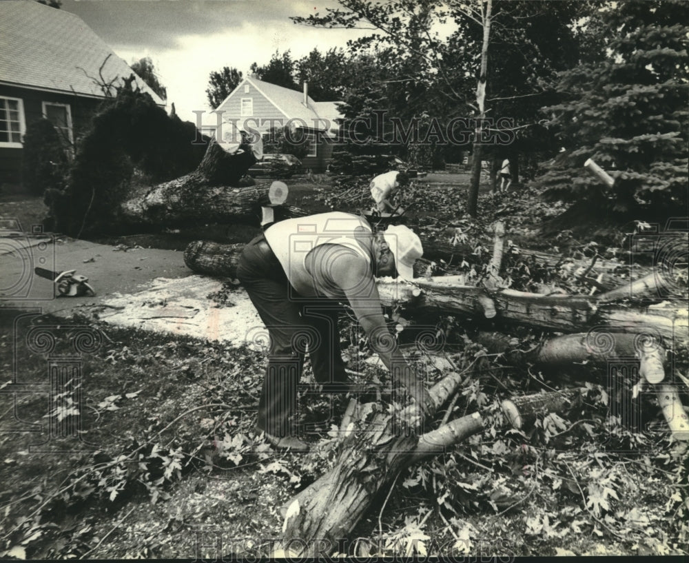 1980 Press Photo Don Weaver clears away fallen tree from his property, Wisconsin - Historic Images