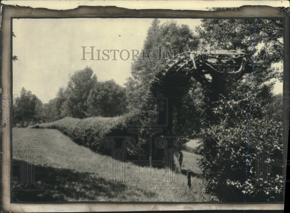 Press Photo Hedge and gate in garden of Monticello planted by Thomas Jefferson - Historic Images