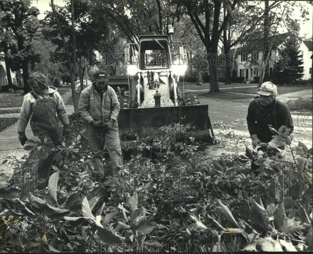 1990 Whitefish Bay workers clear downed tree branches-Milwaukee - Historic Images
