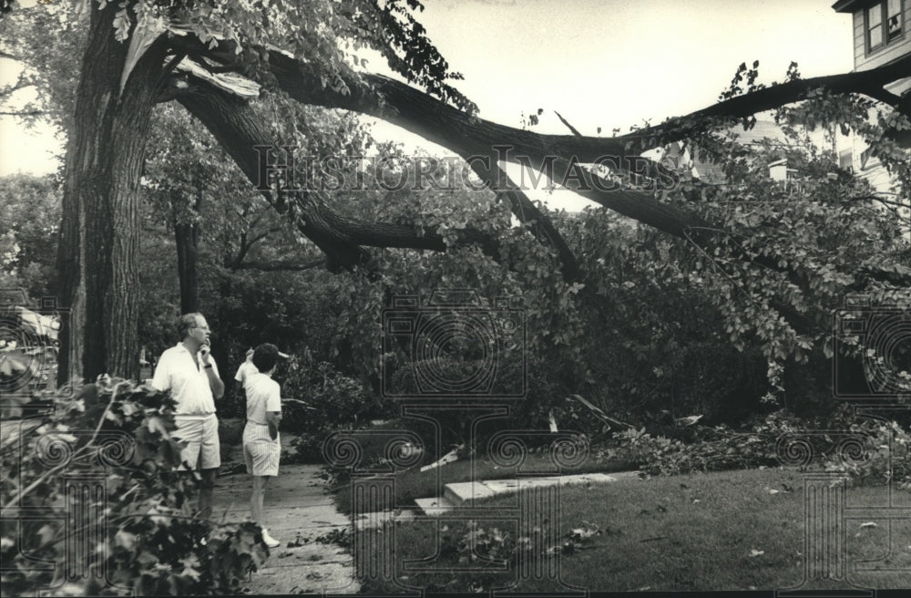 1989 Press Photo Residents survey tree downed by storm in Milwaukee - mjb99022 - Historic Images