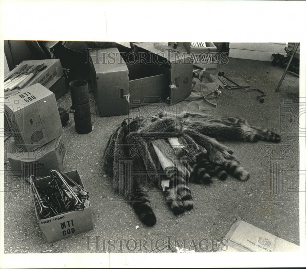 1994 Press Photo Piles of racoon pelts show Wisconsin to be a big trapping state - Historic Images