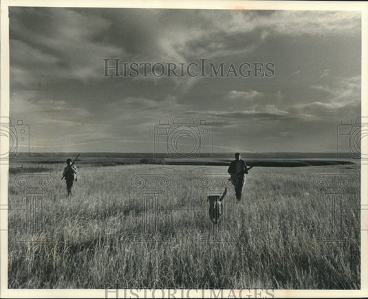 1991 Press Photo Game hunters walk the fields with dogs in search of game birds. - Historic Images