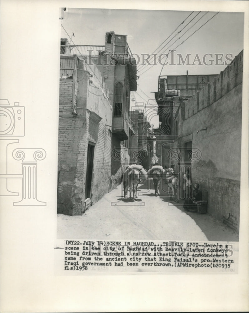 1958 Press Photo Heavily laden donkeys walk a narrow street in Baghdad, Iraq - Historic Images
