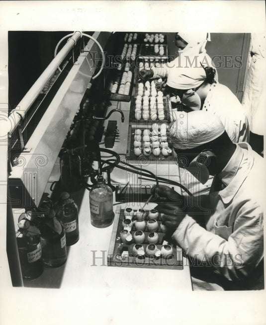 1957, Scientists inject embryos w/virus at Pasteur Institute,France - Historic Images