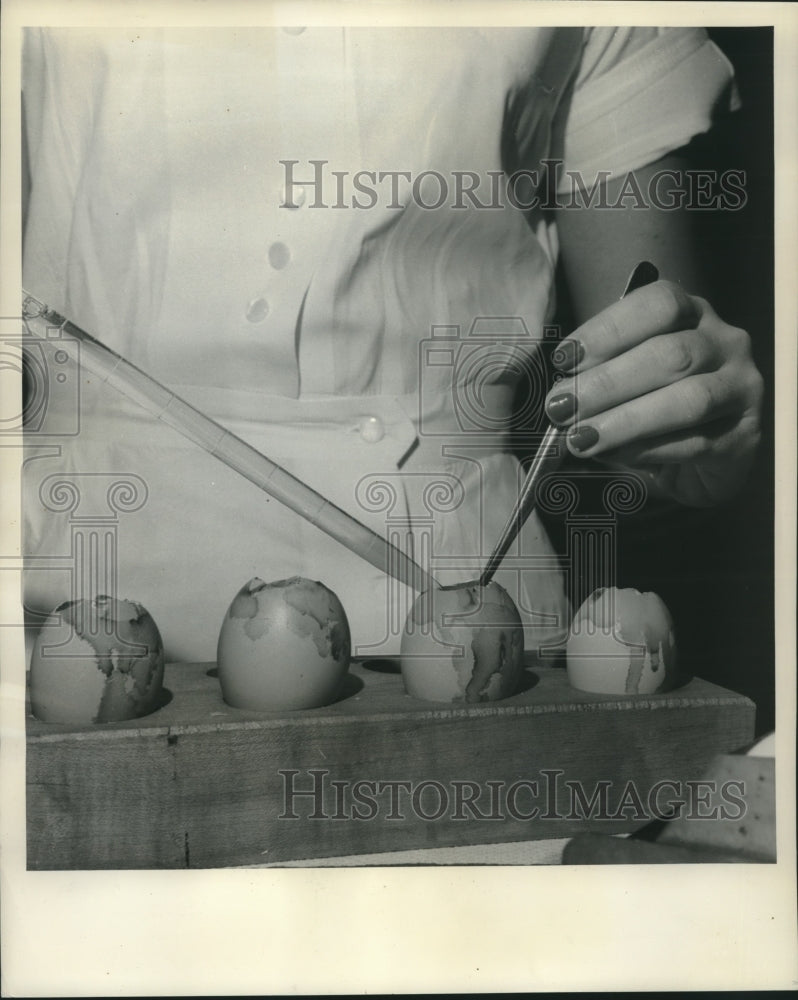 1957 Press Photo harvesting fluid from inoculated eggs to see if it has flu - Historic Images