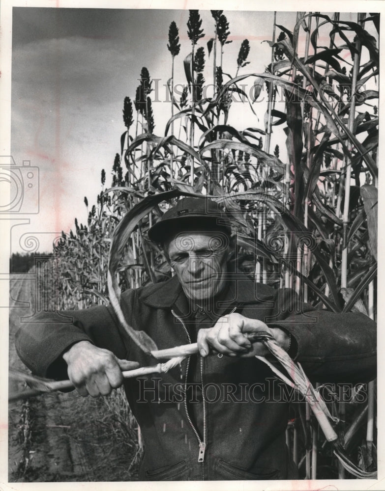 1963, Glen A. Schlueter twisted a piece of sorghum cane, Wautoma - Historic Images