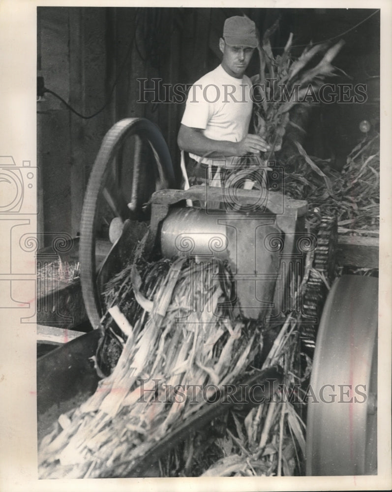 1987 Press Photo Schleickau ran sorghum stalks through rollers for sorghum sirup - Historic Images